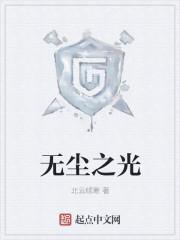 无尘之光封面