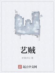 艺贼封面