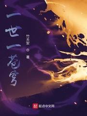 一世一苍穹封面
