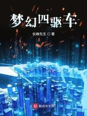 梦幻四驱车中文版封面