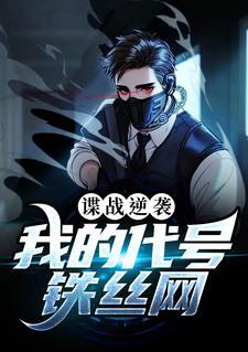 谍战逆袭：我的代号铁丝网封面