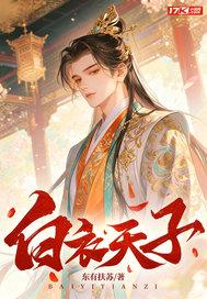 白衣天子封面