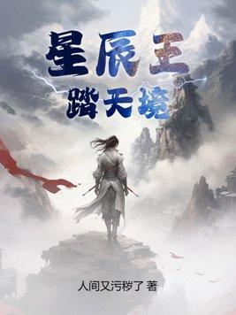 星辰王：踏天境封面