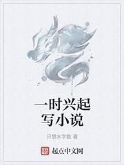 一时兴起写小说封面