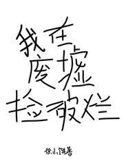 我在废墟捡破烂封面