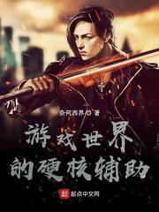 游戏世界的硬核辅助封面