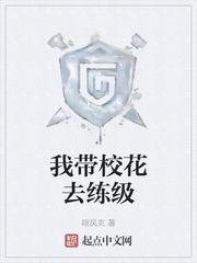 我带校花去练级封面