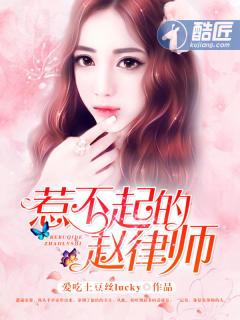 惹不起的赵律师封面