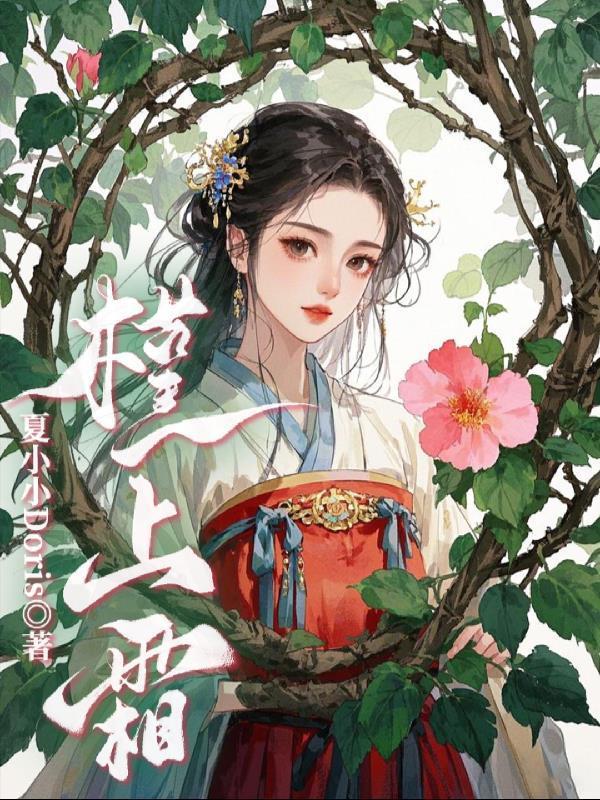 槿上霜封面