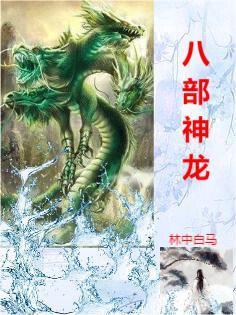 八部神龙封面