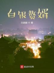 白银赘婿封面
