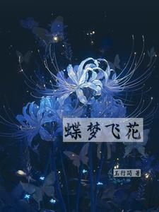 蝶梦飞花封面