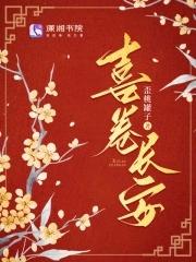 喜卷长安封面