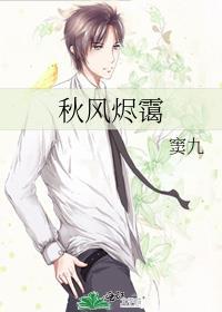 秋风烬霭封面