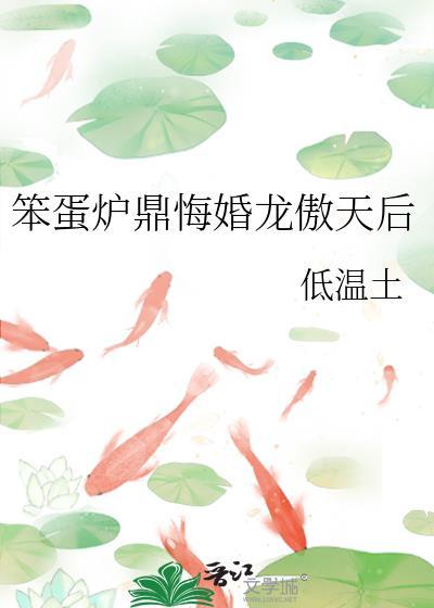 笨蛋炉鼎悔婚龙傲天后txt封面