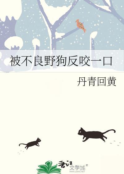 被野狗咬了不打针有事吗封面